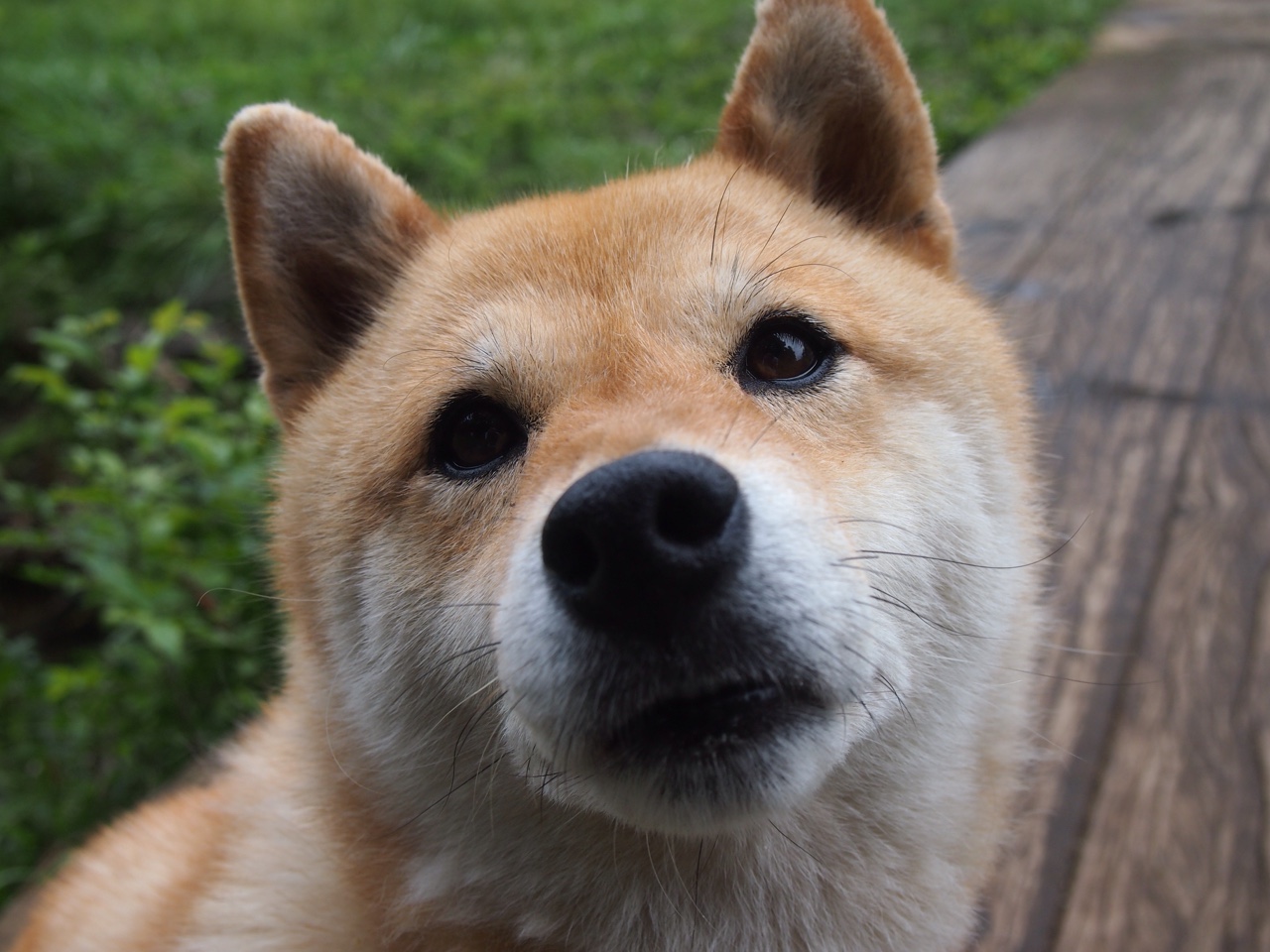 纵深跑位打通禁区切入路线，纵深线是什么意思